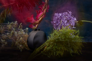 Ingredient Deep Dive: All Things Retinol